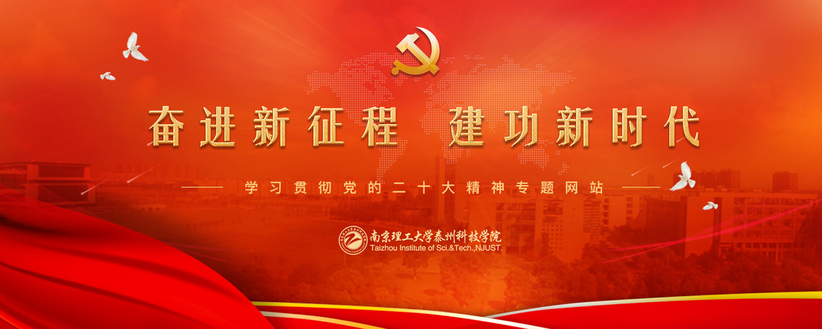 二十大专题网站